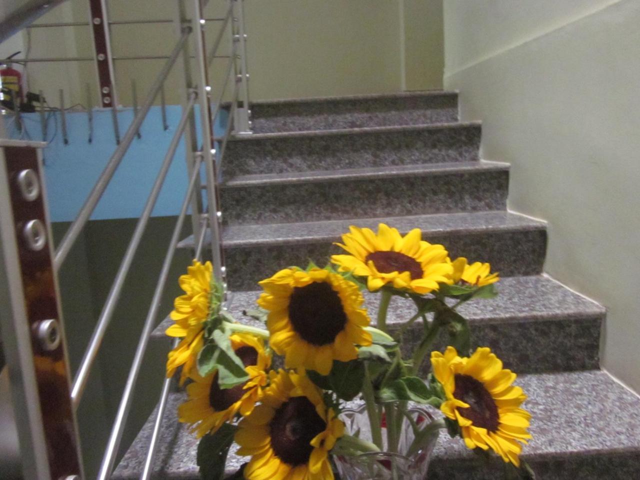 Thien Phu Hostel Phong Nha Buitenkant foto